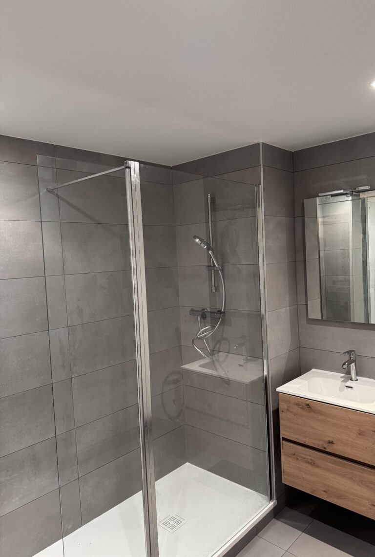 Cabine de douche et meuble vasque bois dans une salle de bain grise rénovée à Dijon